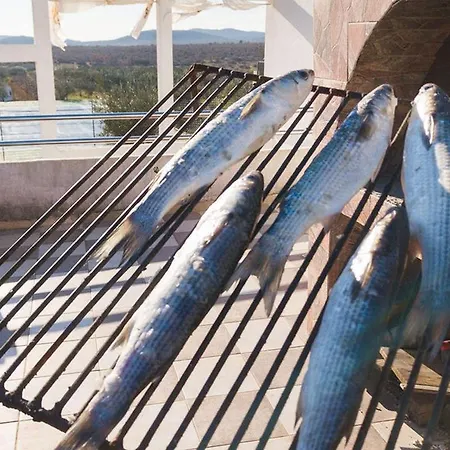 Casa de Férias Family Friendly House With A Swimming Pool Cista Velika, Vodice - 20227 *