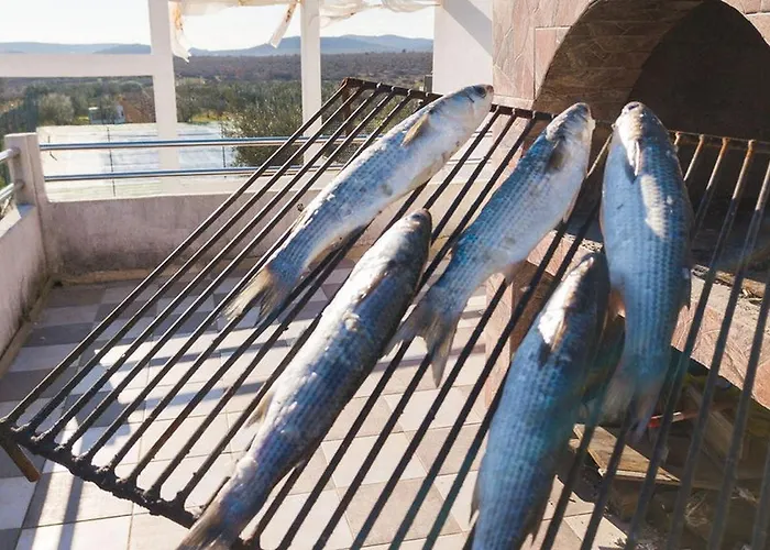 Vakantiehuis Family Friendly House With A Swimming Pool Cista Velika, Vodice - 20227 *